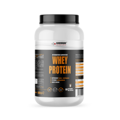 Whey Protein 800g